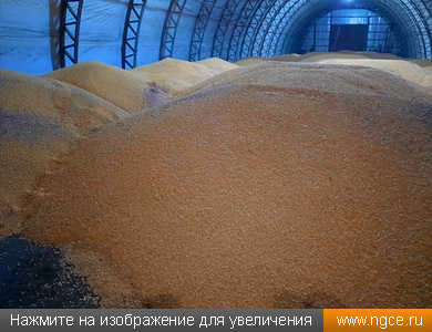 ���� �� ������ ��������� ������� ����� � ���������� �������, �������� ������������ �������� �� ������� ��� ������