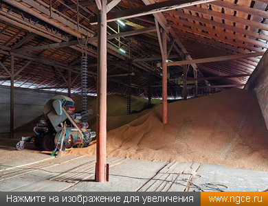 ���� �� �������, �������� ������������ ��� ����� � ������� �� ��������� ��� ����� ����������� ������� ��������