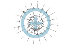 Схема расположения специальных привязочных марок в спиральной камере гидроагрегата №7 Саяно-Шушенской ГЭС