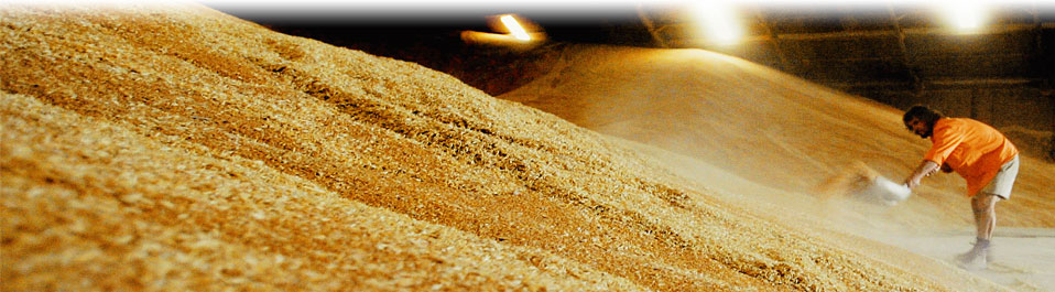 Высокоточное измерение объемов складов зерна методом трехмерного лазерного сканирования, инвентаризация складов сырья