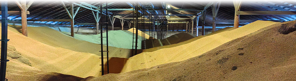 ��������� ������� ����� �� ������� � � ������ � ���������� ������� ��� ��������������, ������ � ����� �������